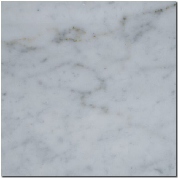 Carrara White 12x12 Honed Marble Tile 1