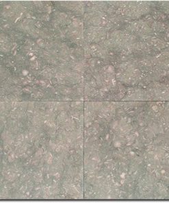 Seagrass 12x12 Green Honed Limestone Tile 3