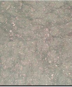 Seagrass 12x12 Green Honed Limestone Tile 4