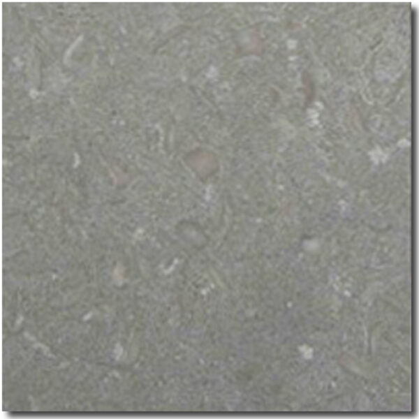 Seagrass 16x16 Green Honed Limestone Tile 1