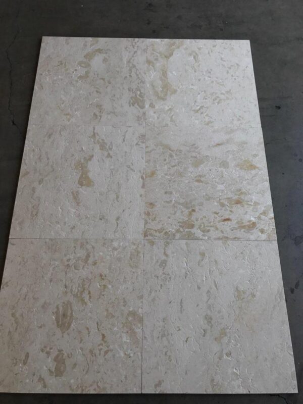 Shell Stone 24x24 White Brushed Limestone Tile 3