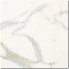 Calacatta Gold 12x12 White Honed Marble Tile 1