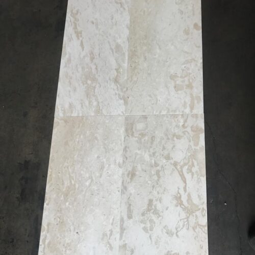 Shell Stone 18x36 White Brushed Limestone Tile