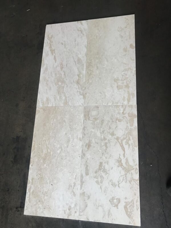 Shell Stone 18x36 White Brushed Limestone Tile