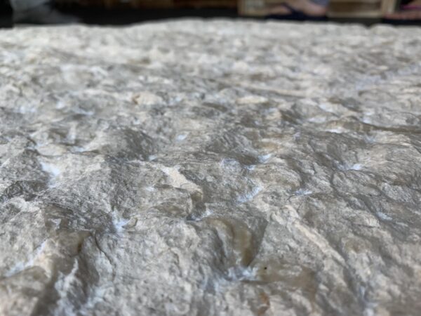 Shell Stone 12x24 Beige Splitface Limestone Tile 5