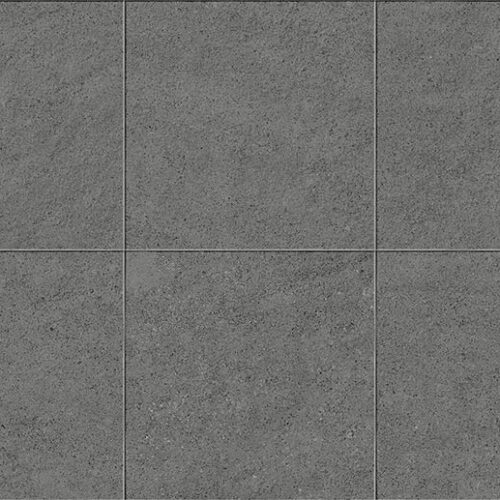 Cosmos Gray 24x24 Natural Porcelain Paver 0