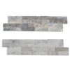 Silver 6x24 Travertine Ledger Panel 1