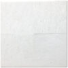 Polar White 12x12 Polished Marble Tile 0