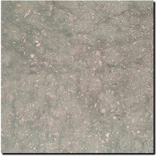 Seagrass 12x12 Honed Limestone Tile 1