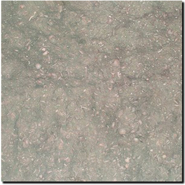 Seagrass 12x12 Honed Limestone Tile 0