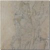 Azul Pietra Polished 18x18 Marble Tile 0