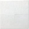 Polar White 18x18 Polished Marble Tile 2