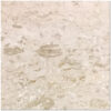 Shell Stone 24x24 Brushed Limestone Tile 0