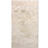 Shell Stone 24x24 Brushed Limestone Tile 1