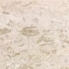 Shell Stone 24x24 Brushed Limestone Tile 4