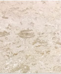 Shell Stone 24x24 Brushed Limestone Tile 4