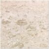 Shell Stone 24x24 Brushed Limestone Tile 2