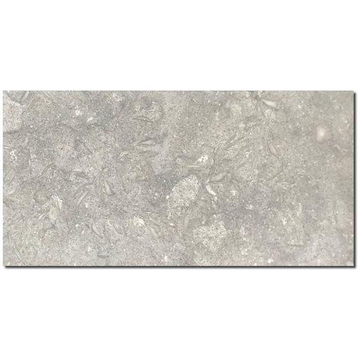 Seagrass 12x24 Honed Limestone Tile 5