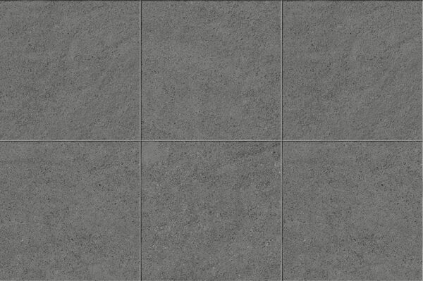 Cosmos Gray 24x24 Square Natural Porcelain Paver 0