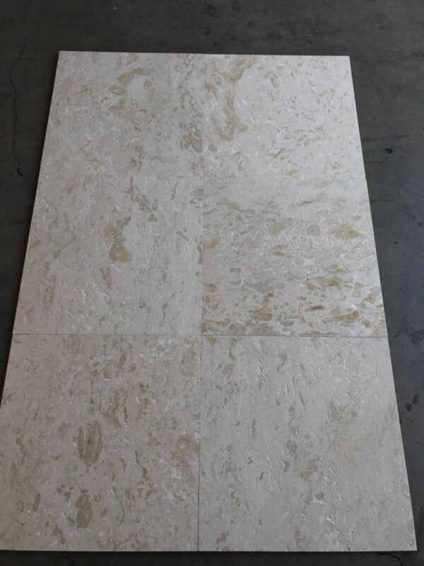 Shell Stone 24x24 Brushed Limestone Tile 5