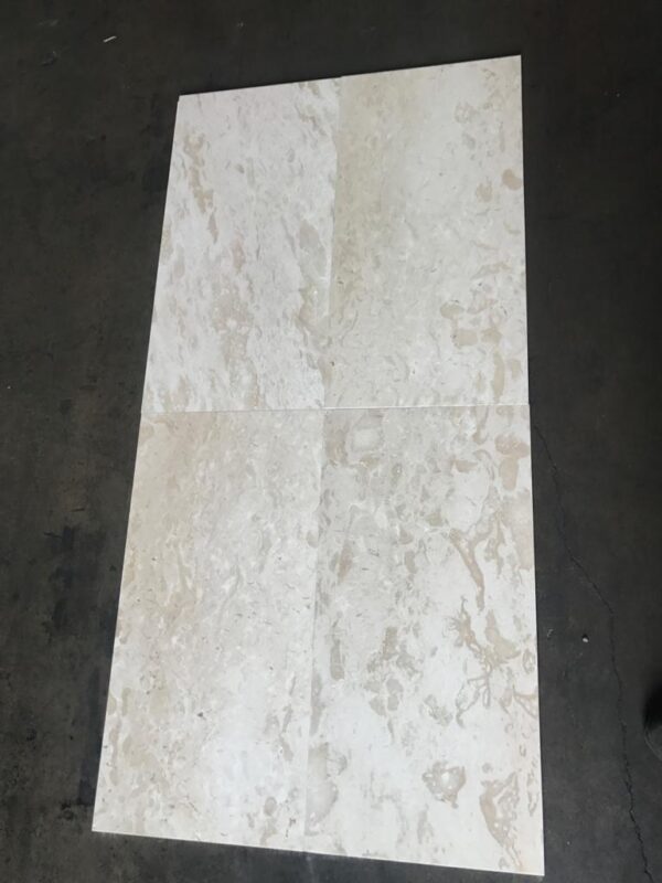 Shell Stone 18x36 Brushed Limestone Tile