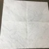 1418-carrara-white-polished-18x18-045efcabf00d.webp