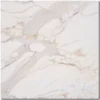 calacatta-gold-marble-tile-12x12-white-polished-07b045c51040.webp