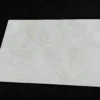 1845-24x24-white-pearl-marble-polished-5a4bd3b390f9.webp